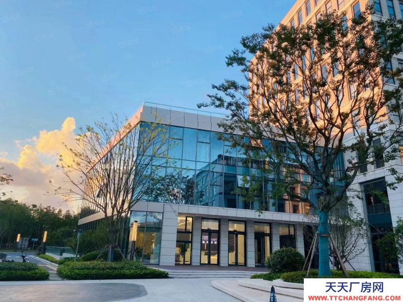 杭州余杭(出售) 独门独户的花园厂房出售 价格面议