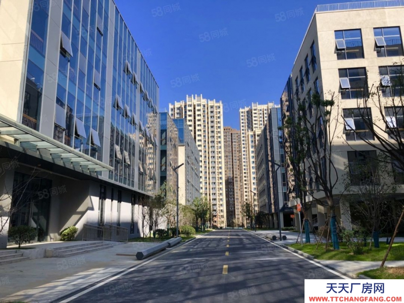 (出租) 安徽包河政府招商包河区政府园区招商研发办公厂房出租高企可享受房租补贴