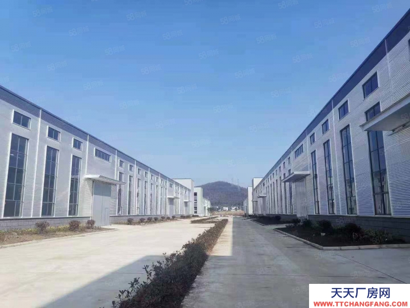 (出租) 安徽包河繁华大道旁纯一层轻钢厂房对外出租 位置好 价格优