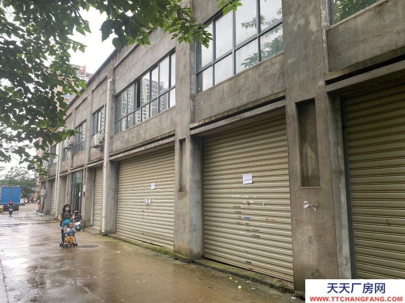 (出租) 南昌青云谱区出租墅溪公寓商铺当仓库租300平