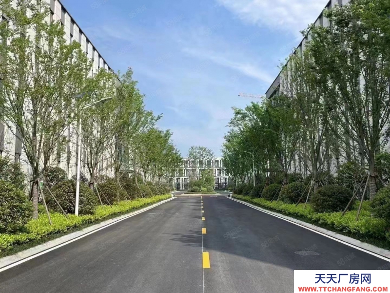 杭州余杭(出售) 老余杭边，独栋与分层厂房，单层1000方
