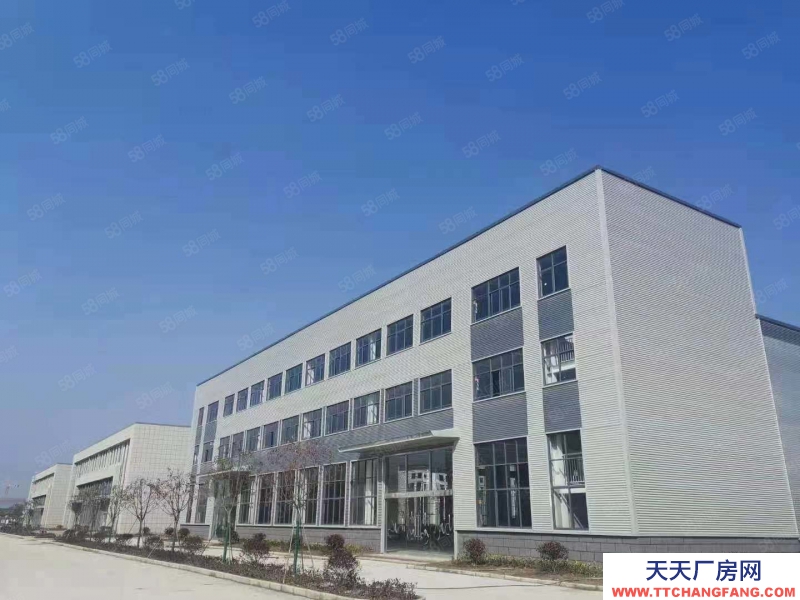 (出售) 合肥包河循环园旁独栋厂房在售，层高7.8米，低首付