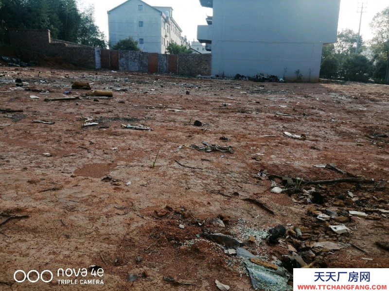 (出租)南昌新建区 厂房厂地空阔320国道傍地理位置好