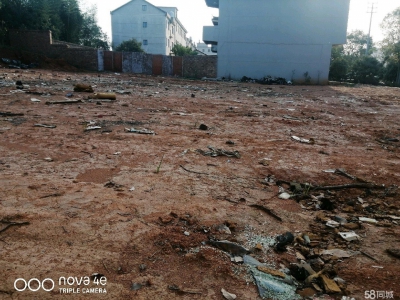 (出租)南昌新建区 厂房厂地空阔320国道傍地理位置好图4