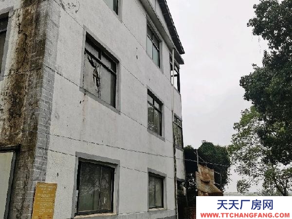 (出租) 南昌新建区厂房整改可免租三个月，