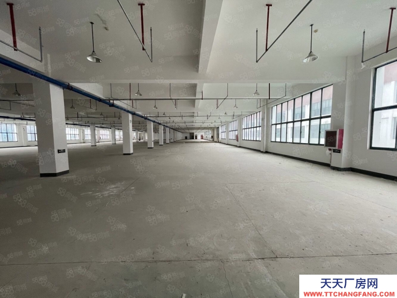 (出租) 合肥包河青网科技园招商部直租350平至2000平