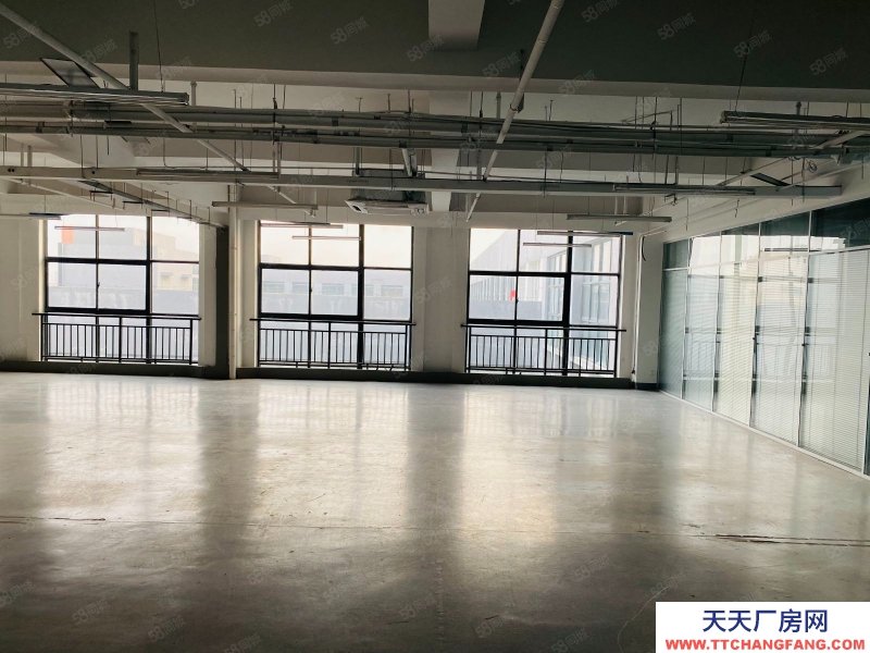 (出租) 合肥包河政府旁科技园区2245平适合电商直播展厅等企业