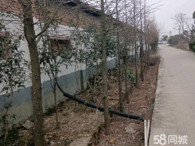 (出售) 南昌县厂房位置好，有意者可现场参观图1