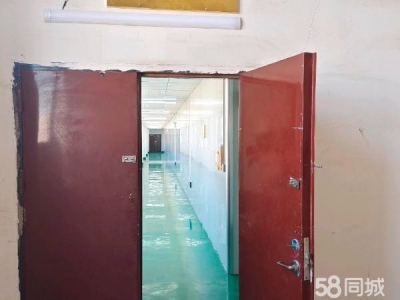 (出售) 南昌县小蓝金沙大道旁半年崭新的食品厂房转让，租金7元/平图2