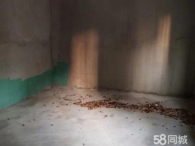 (出租) 南昌县新洪城大市场附近，大洲嘉苑一楼，交通便利，价格面议图2