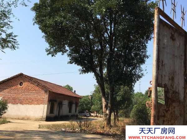 (出租) 南昌进贤县出租进贤县民和镇乡村农场
