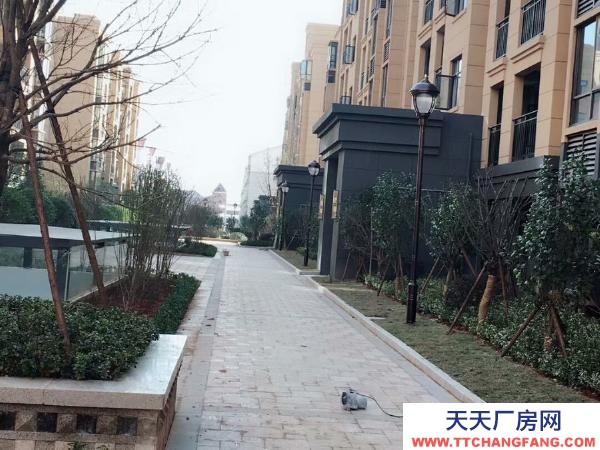 (出租) 南昌进贤县出租进贤县凯旋广场------毛坯房供仓库出租！