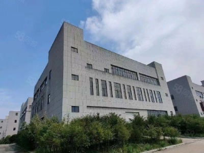(出售) 南昌安义县罗亭大道标准厂房出售。带院子图3