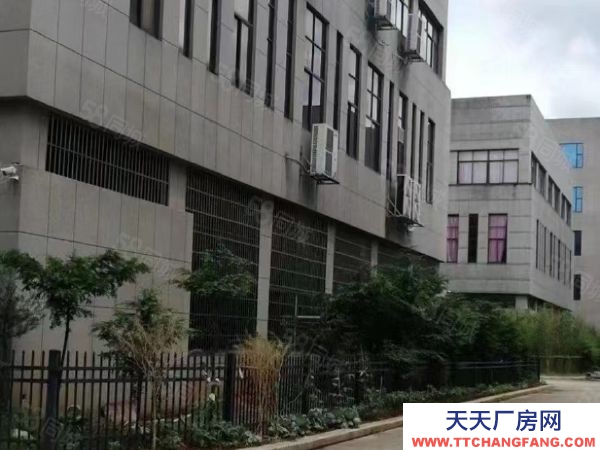 (出售) 南昌安义县罗亭大道标准厂房出售。带院子