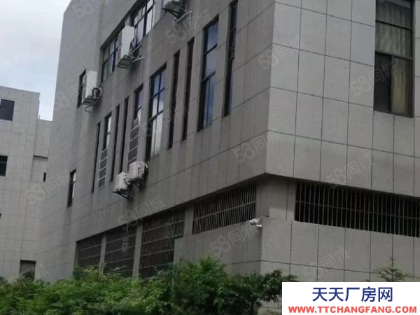 (出售) 南昌安义县罗亭大道标准厂房出售。带院子