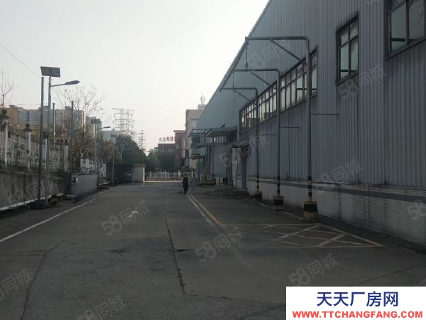 长沙市天心区  出租天心区大托乡大托村委会旁边