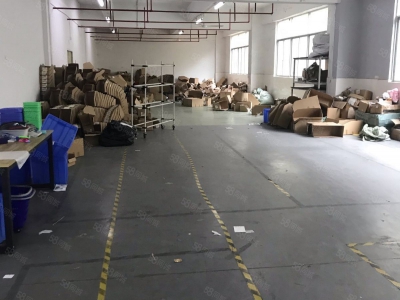 (出租)深圳 罗湖厂房仓库200平360平至3000平大小可分图3