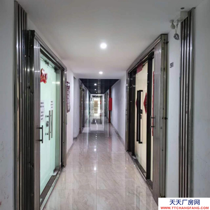 (出租) 深圳罗湖笋岗美芝大厦办公 厂房 仓库 | 业主直租