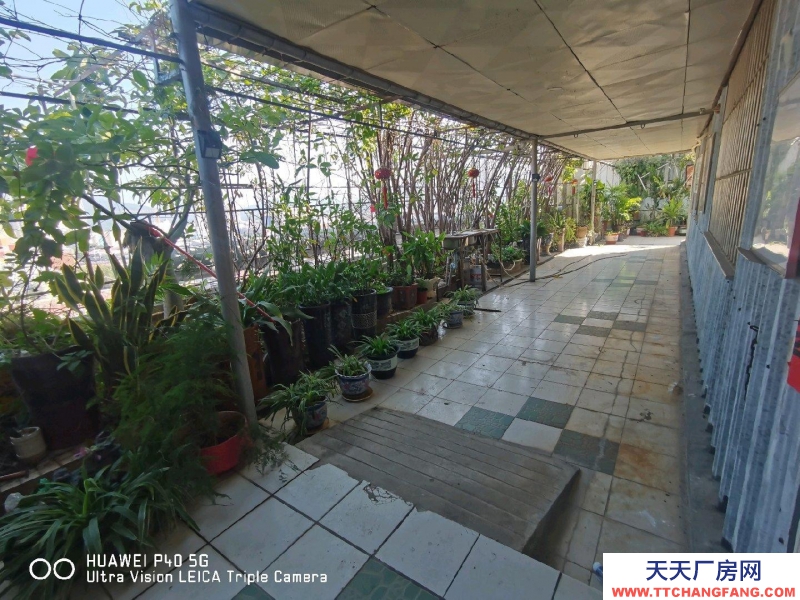 (出租) 深圳罗湖适合珠宝展示、加工，网购办公，仓储等