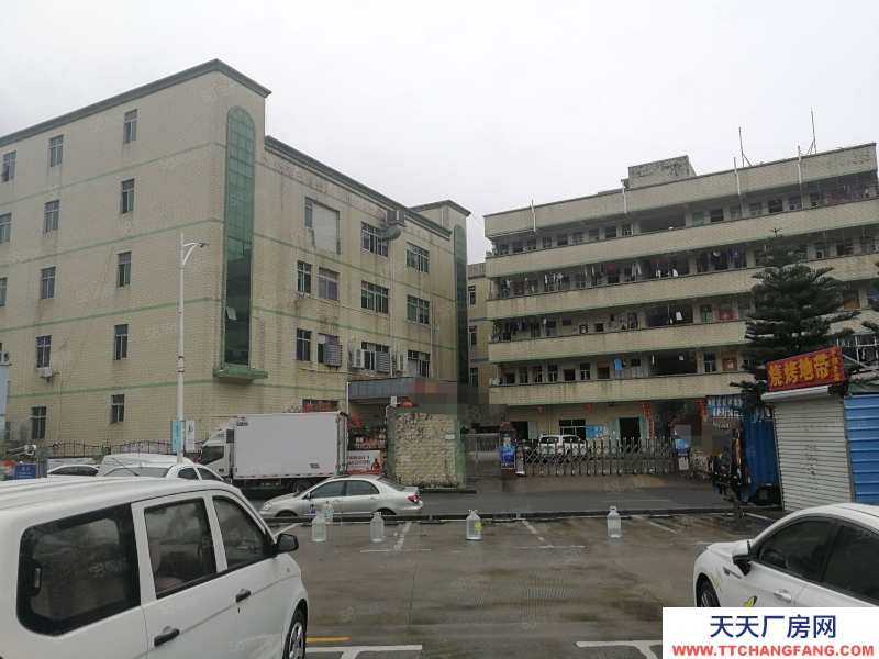 (出售) 深圳罗湖东门4800平独门独院红本厂房出售占地面积2850平