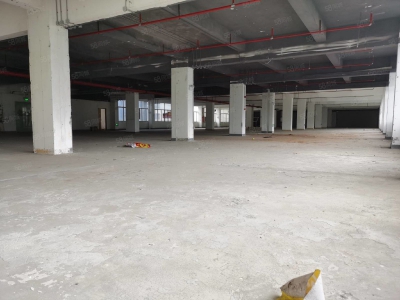 (出售) 深圳福田鹏基工业区厂房出售，13358平方低于市场价1个亿图1