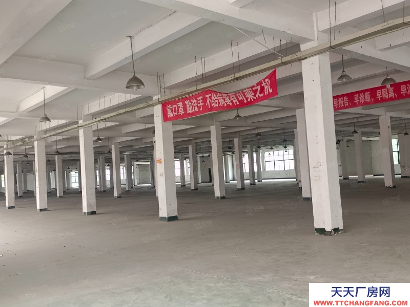 杭州富阳(出租) 银湖高8米带行车 适合小五金 仓储 电商等无污染行业