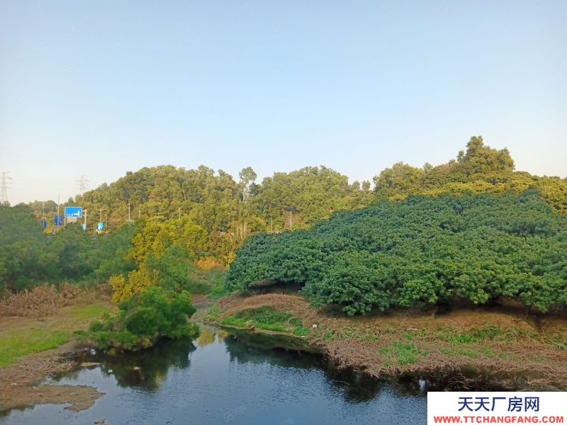 (出租) 深圳福田八卦岭地铁口全新研发办公楼6000平出租100平起分租