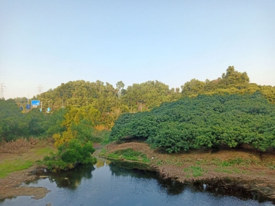(出租) 深圳福田八卦岭地铁口全新研发办公楼6000平出租100平起分租图4