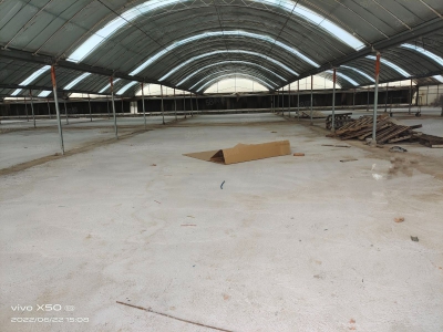 青岛城阳区夏庄临街仓库出租 带院 可分割 联动大棚式仓储图1