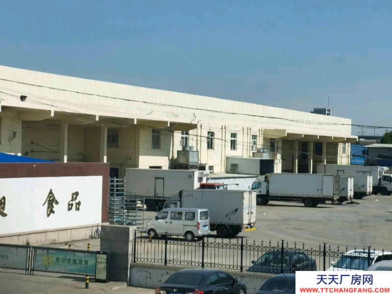青岛城阳1500平米-20℃冷库，可分割出租