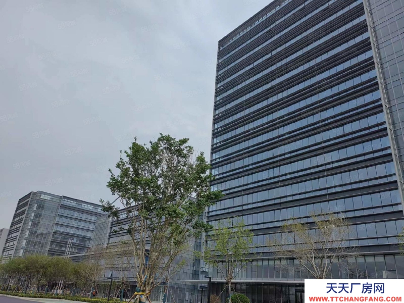 青岛胶州上合示范区核心位置高标准园区厂房