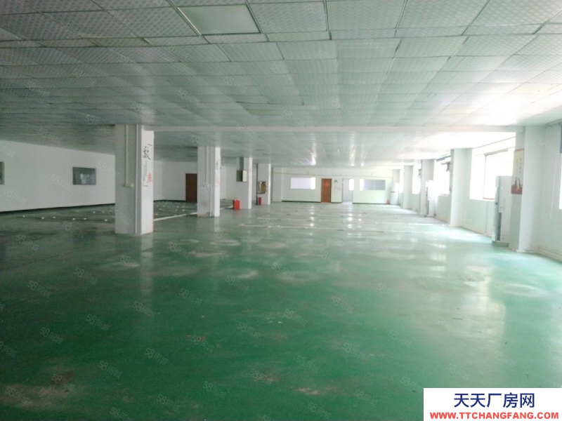 (出租) 深圳南山西丽地铁口 独院整层1800平厂房 仓库 随时看房
