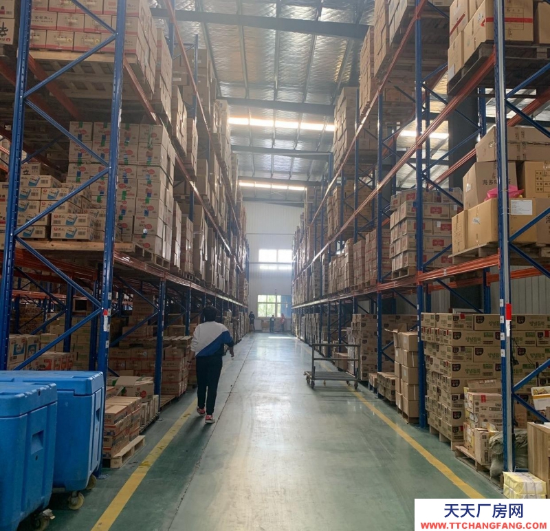 青岛胶州新建厂房，水泥地面，高6米，宽35长38