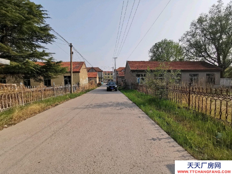 青岛胶州洋河镇驻地，有平房若干，对外出租，单门独院。