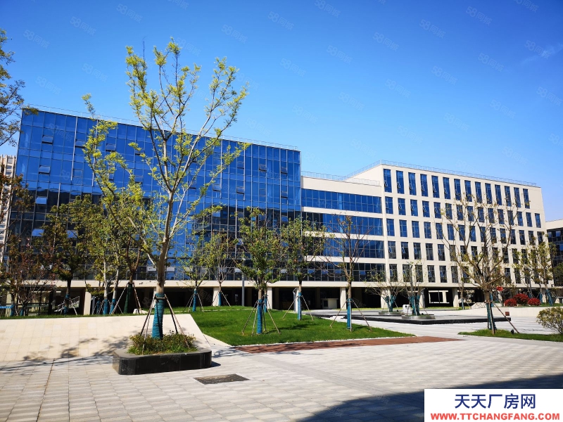 (出租)合肥蜀山 研发厂房办公楼出租政府园区招商可办环评