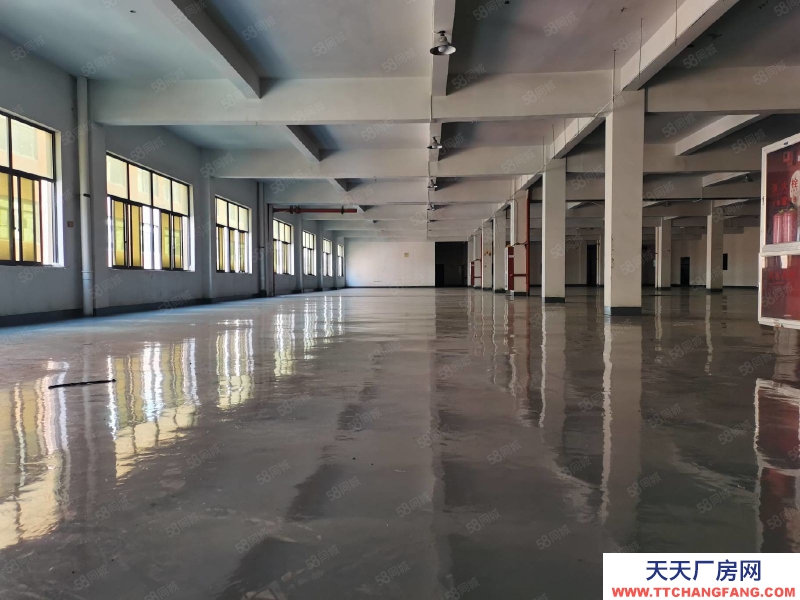 杭州富阳(出售) 急售场口10亩土地5千方多层另有8千方油漆涂料环评