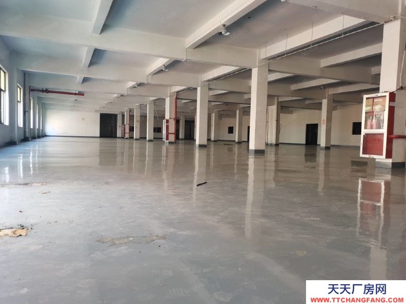 杭州富阳(出售) 急售场口10亩土地5千方多层另有8千方油漆涂料环评