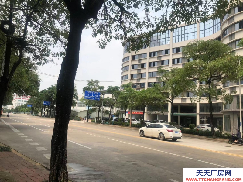 南宁市西乡塘区(出租) 科兴路6号 全新毛坯房，可做厂房、写字楼、办公楼