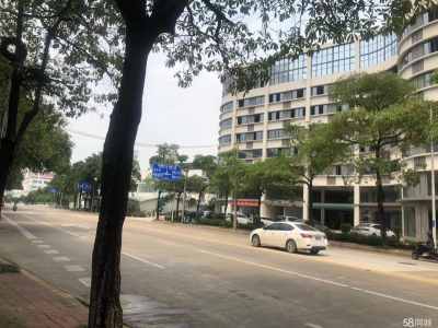 南宁市西乡塘区(出租) 科兴路6号 全新毛坯房，可做厂房、写字楼、办公楼图2