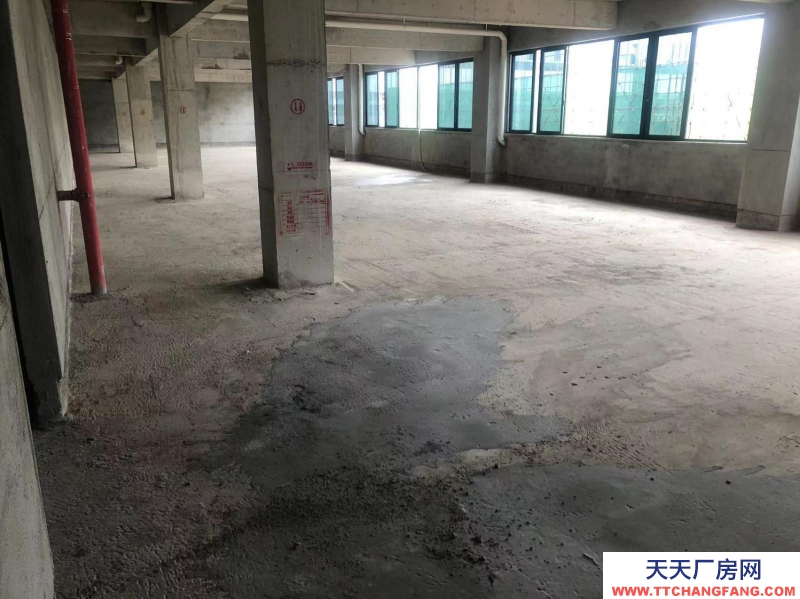 南宁市西乡塘区(出租) 科兴路6号 全新毛坯房，可做厂房、写字楼、办公楼