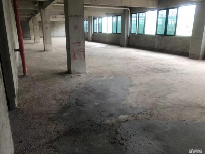 南宁市西乡塘区(出租) 科兴路6号 全新毛坯房，可做厂房、写字楼、办公楼图3