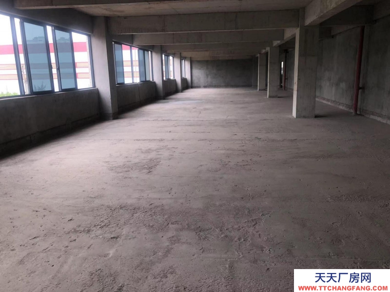 南宁市西乡塘区(出租) 科兴路6号 全新毛坯房，可做厂房、写字楼、办公楼