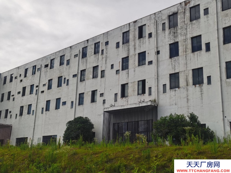 杭州富阳(出售) 占地36亩独门独院独栋厂房出售一亿元