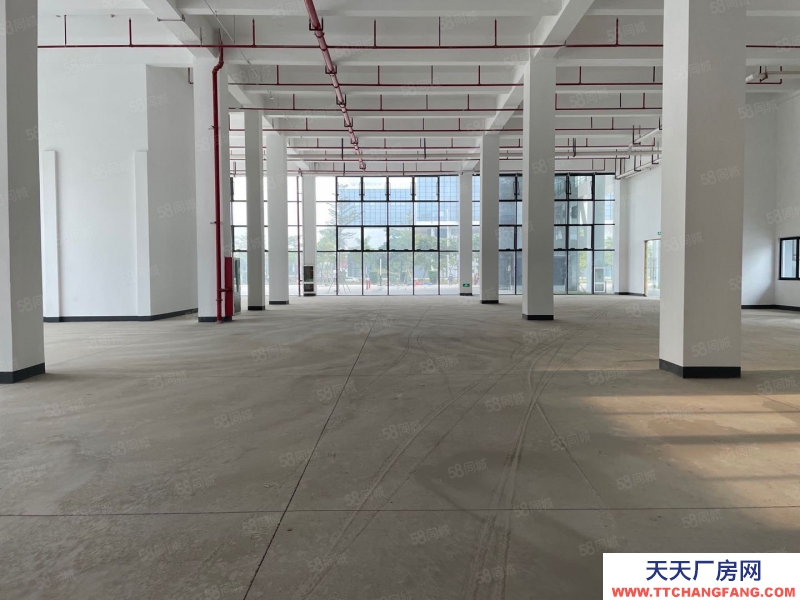 (出租) 深圳宝安兴东300平方起分租厂房办公室出租带装修10000平独门独院