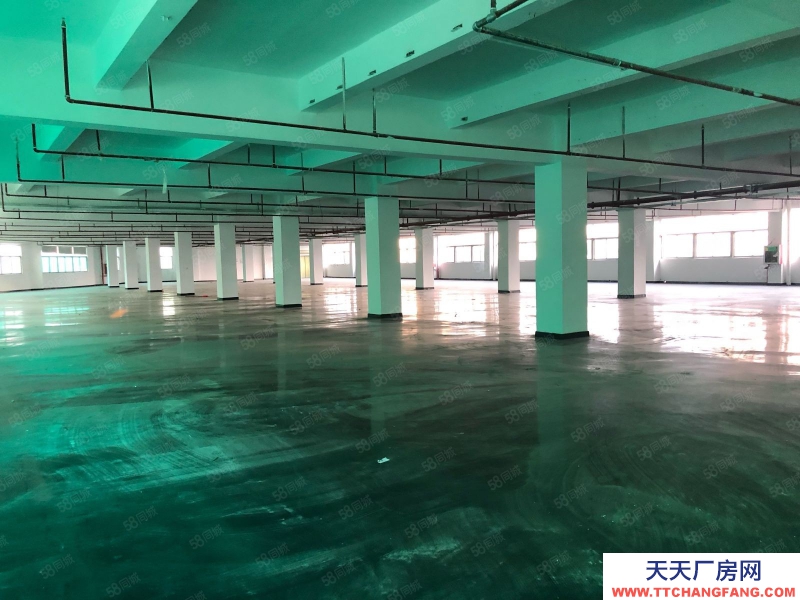(出租) 深圳宝安石岩高速出口独栋厂房7800平，工业园带喷淋招租可分租