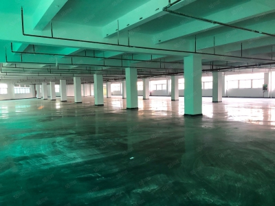 (出租) 深圳宝安石岩高速出口独栋厂房7800平，工业园带喷淋招租可分租图3