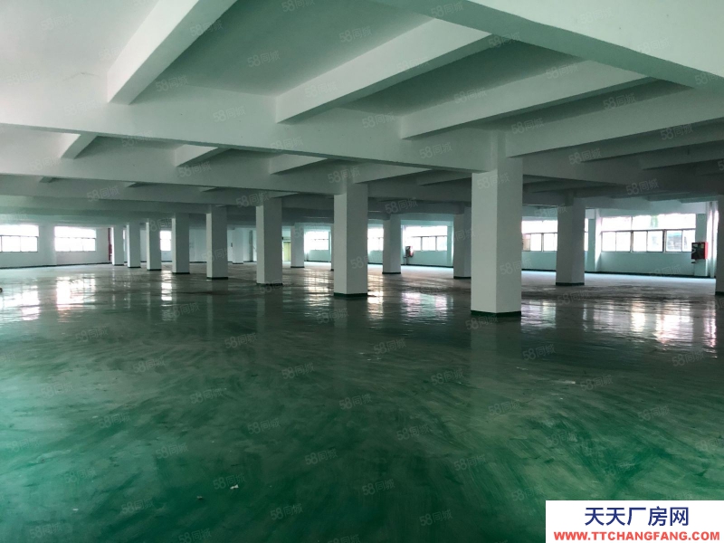 (出租) 深圳宝安石岩高速出口独栋厂房7800平，工业园带喷淋招租可分租