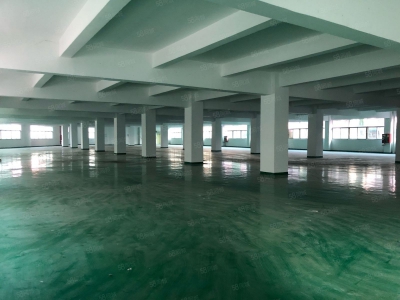 (出租) 深圳宝安石岩高速出口独栋厂房7800平，工业园带喷淋招租可分租图1