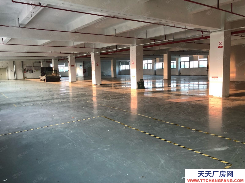 (出租) 深圳宝安石岩高速出口独栋厂房7800平，工业园带喷淋招租可分租
