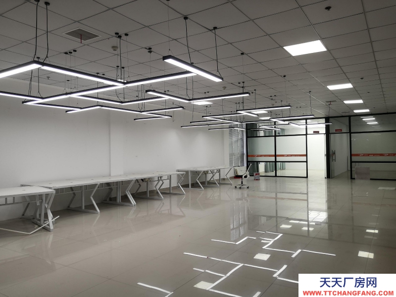 湖州织里大型直播基地出租 装修好 直接入住 童装产业带上位置好